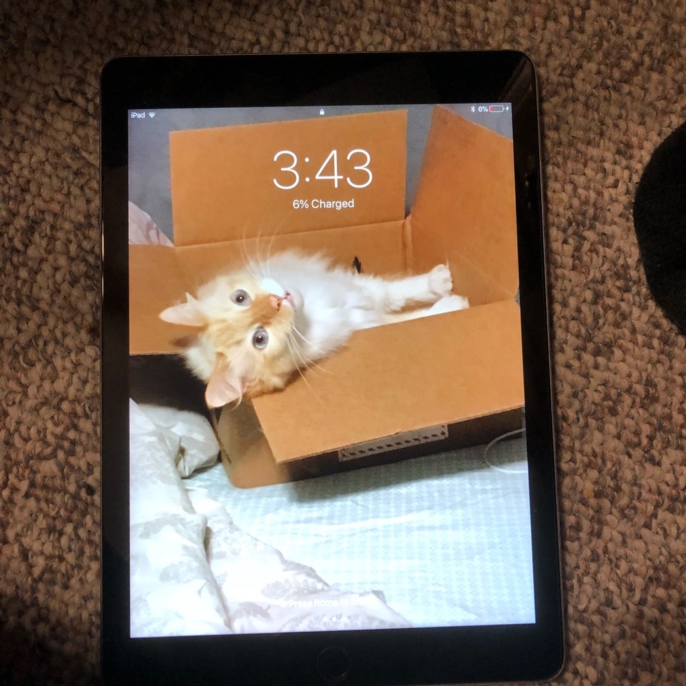 iPad Pro - Picture 4 of 8